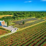 Сasa de vacaciones House Brajdine Lounge Juršići
