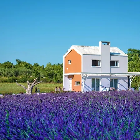 Casa de Férias House Brajdine Lounge
