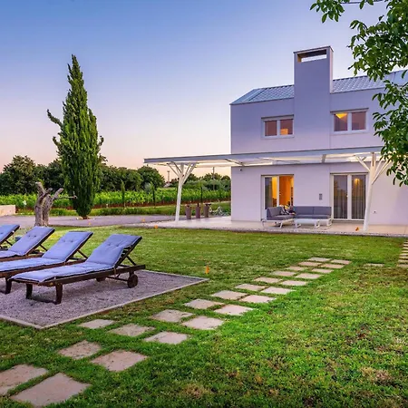 House Brajdine Lounge *